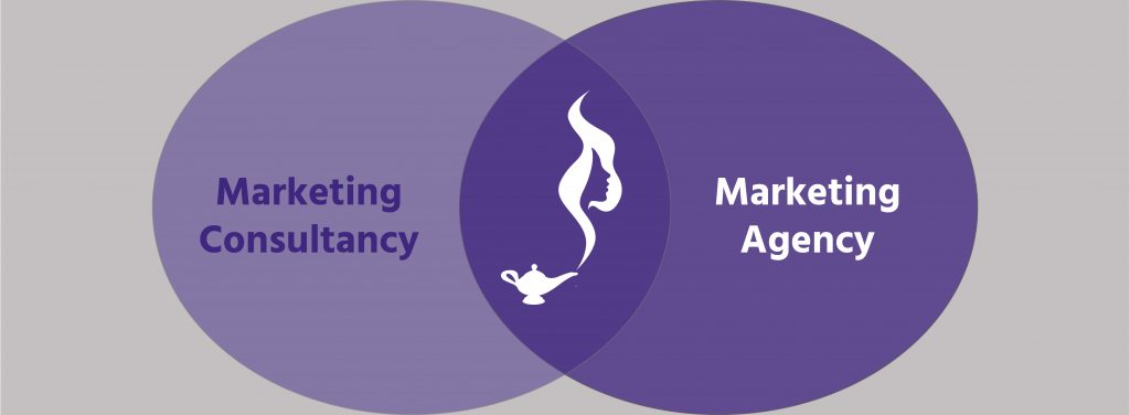 marketing-consultancy-versus-marketing-agency-venn-diagram-genie-insights